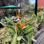 Deluxe Garden At Marea 格勒姆