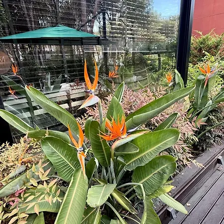 Deluxe Garden At Marea 골렘
