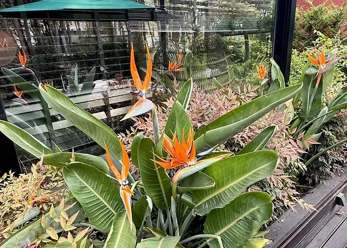 Deluxe Garden At Marea 골렘